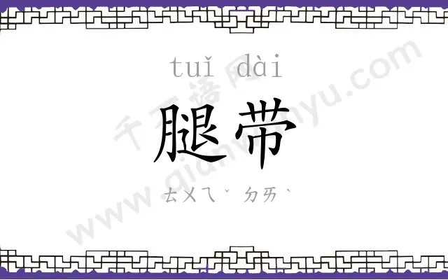 腿带