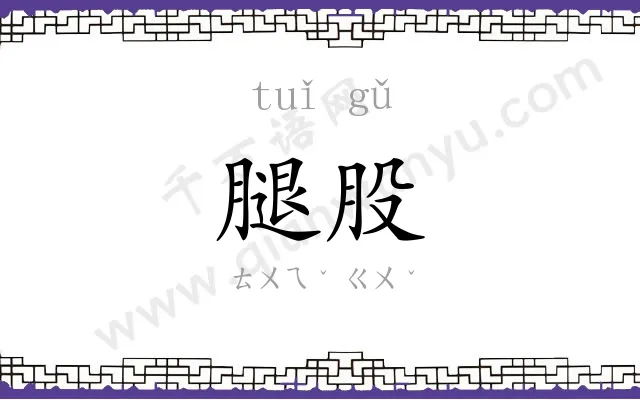 腿股