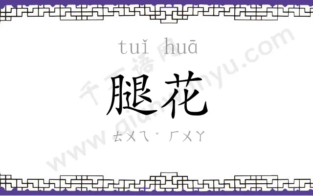 腿花