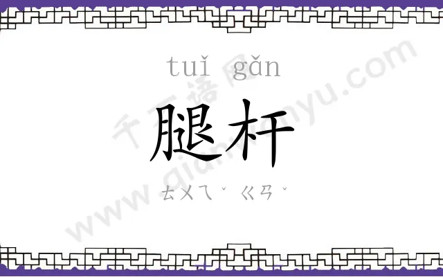 腿杆