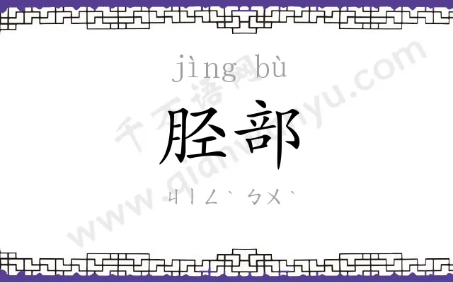 胫部