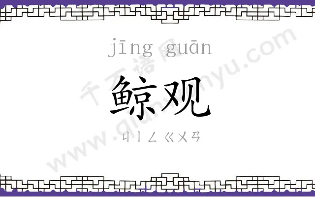 鲸观