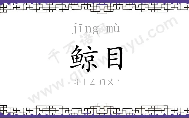 鲸目