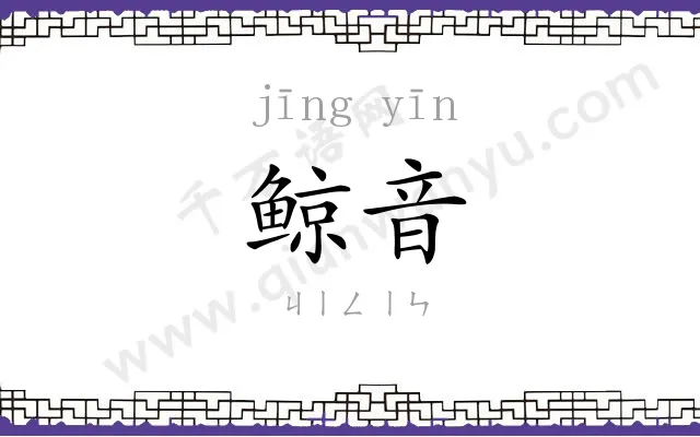 鲸音