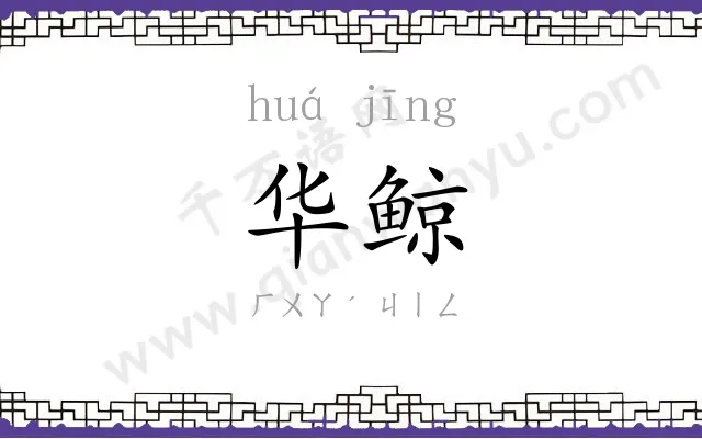 华鲸