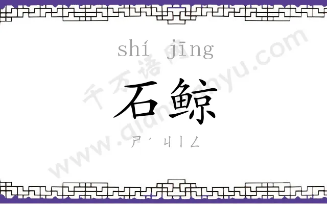 石鲸