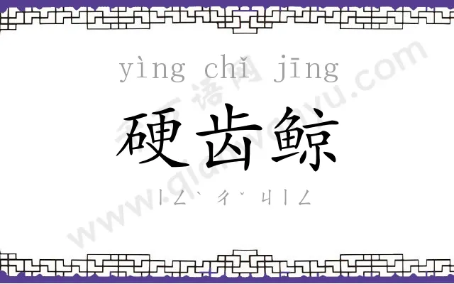 硬齿鲸