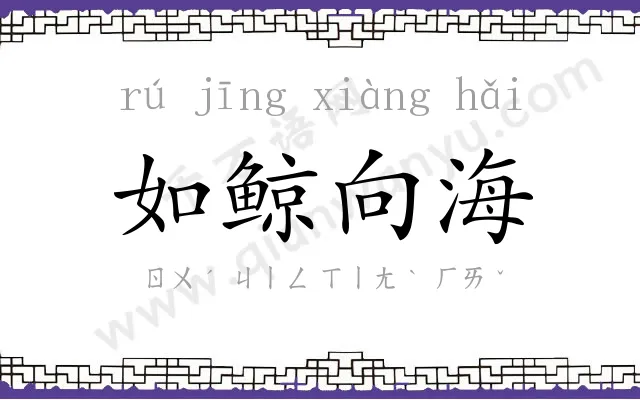 如鲸向海