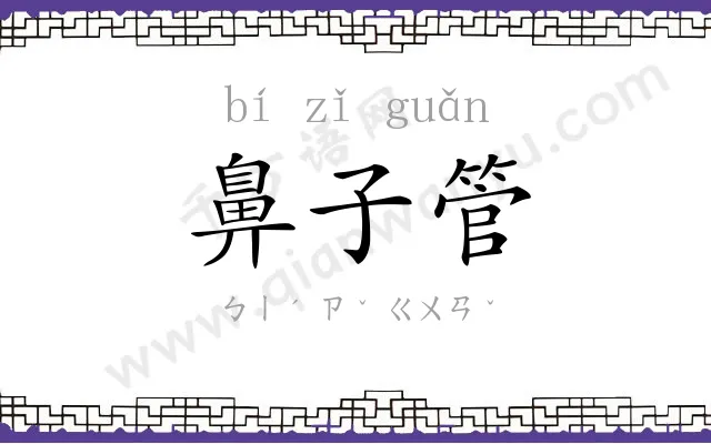 鼻子管