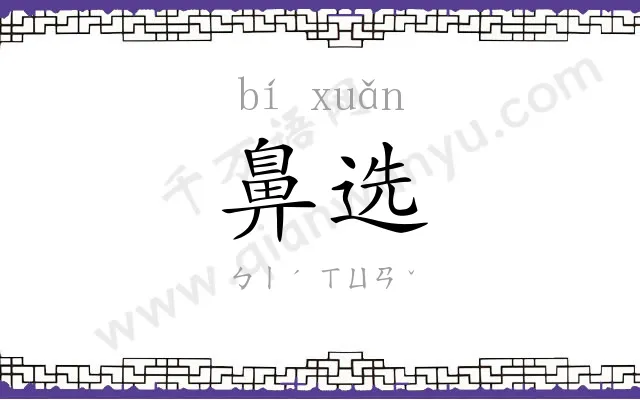 鼻选
