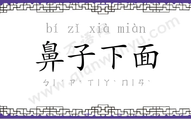 鼻子下面