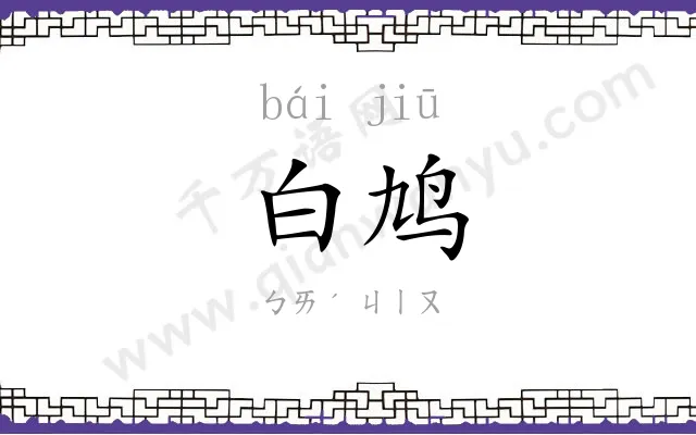 白鸠