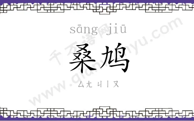 桑鸠