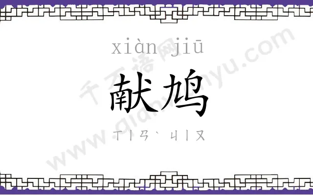 献鸠