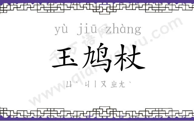 玉鸠杖