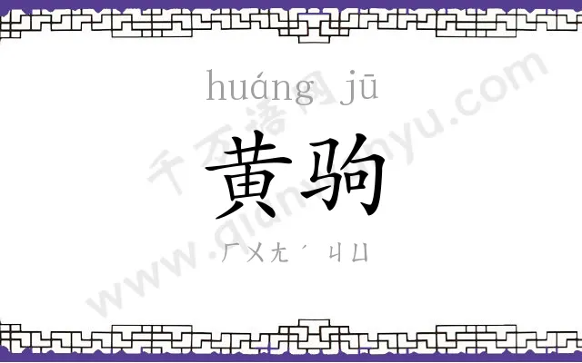 黄驹