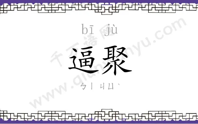 逼聚