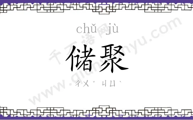 储聚