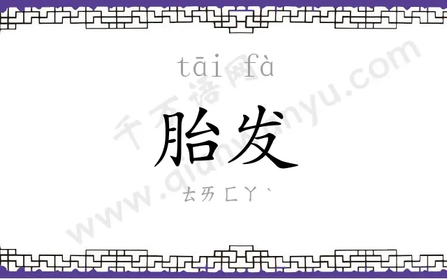 胎发