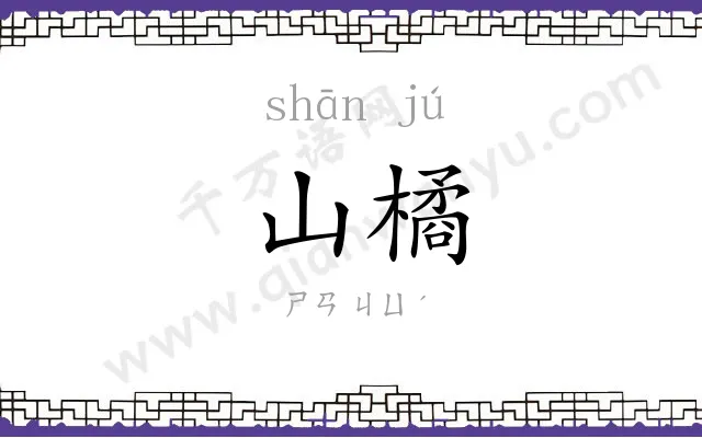 山橘