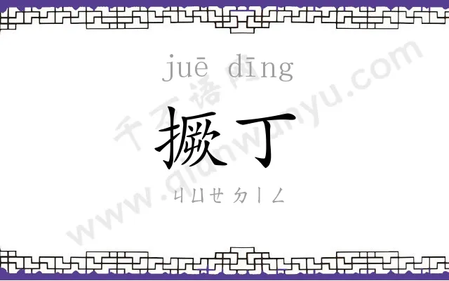撅丁