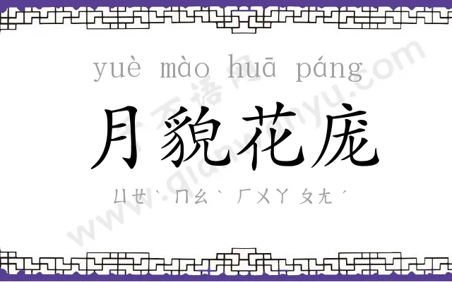 月貌花庞