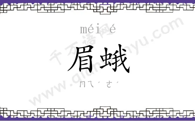 眉蛾