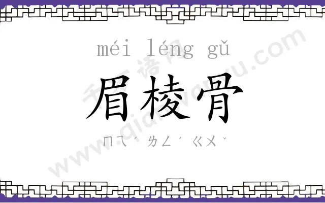 眉棱骨