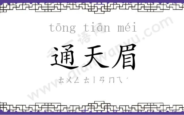 通天眉
