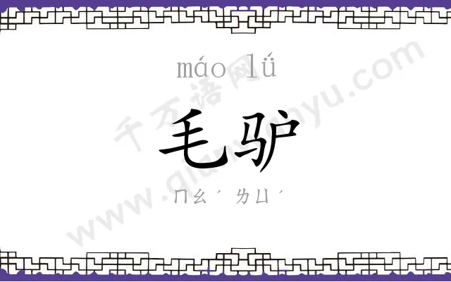 毛驴