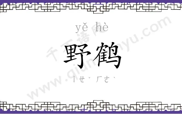 野鹤