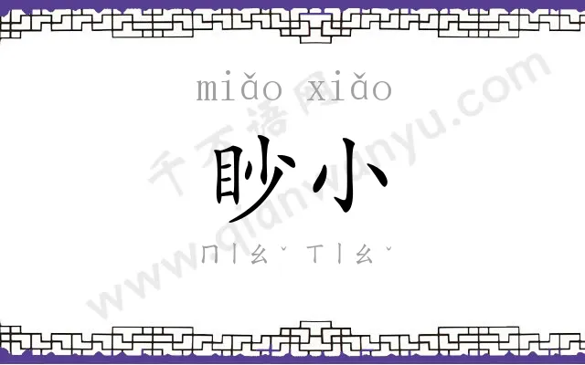 眇小