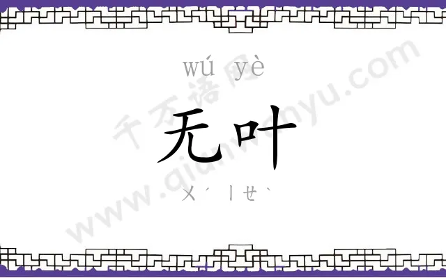 无叶