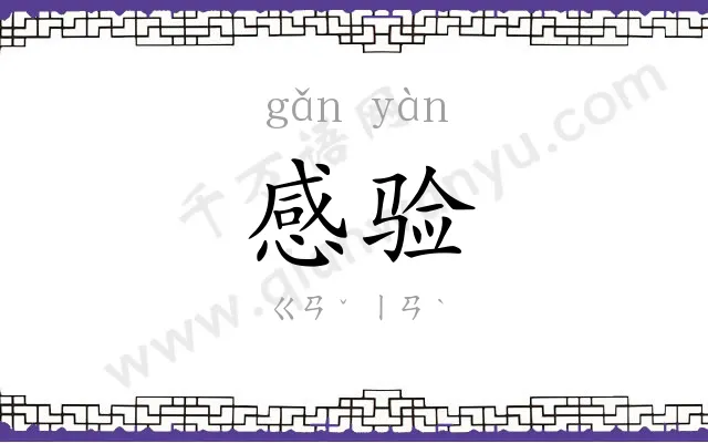 感验