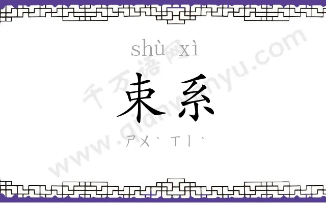 束系