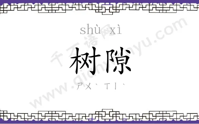 树隙