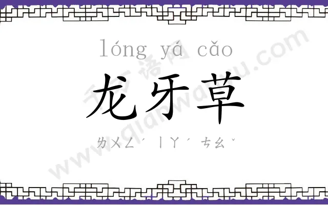 龙牙草