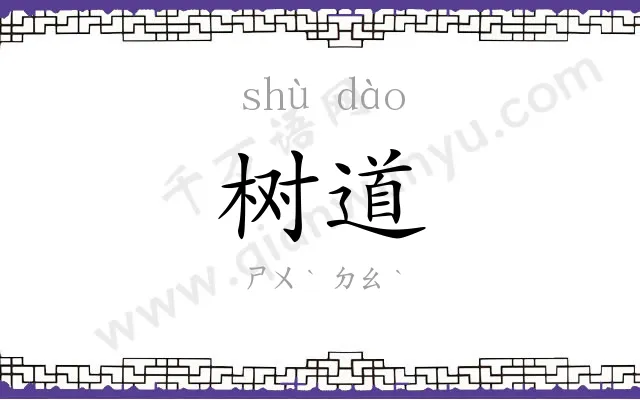 树道