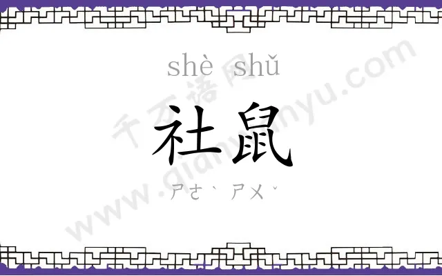 社鼠