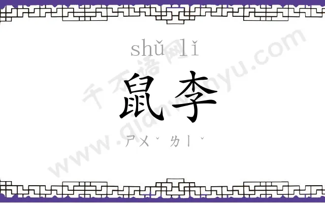 鼠李