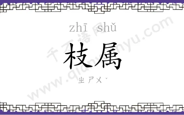 枝属