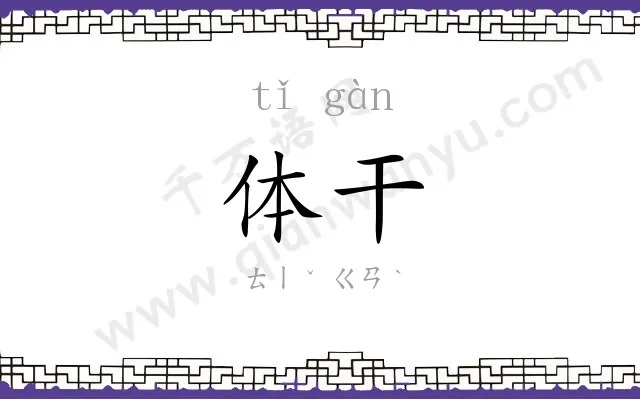 体干