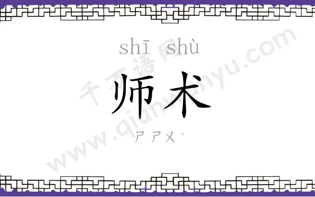 师术