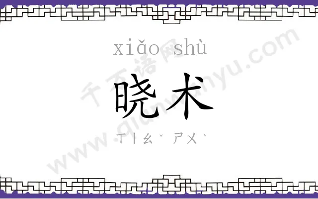 晓术