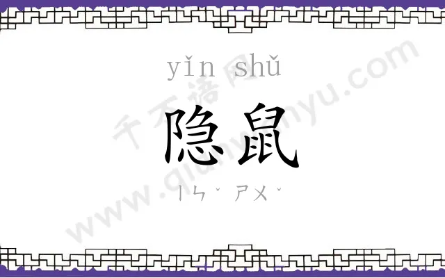 隐鼠