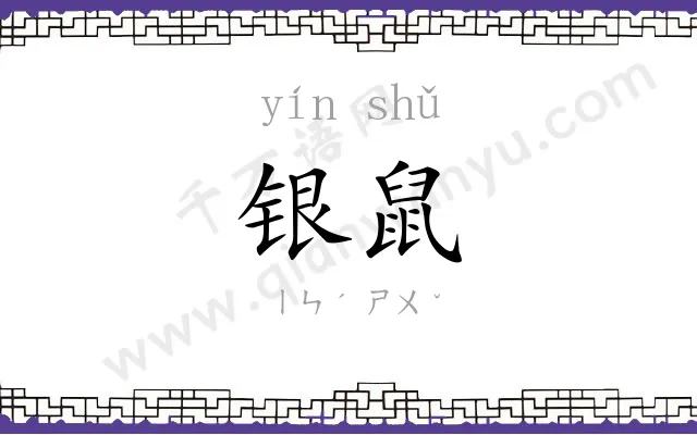 银鼠