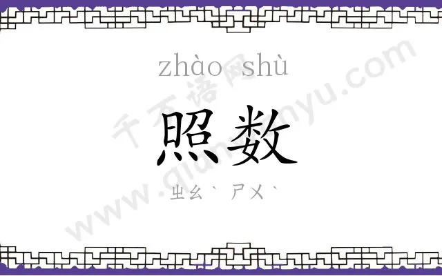 照数