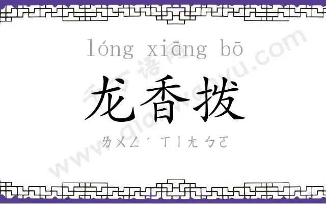 龙香拨