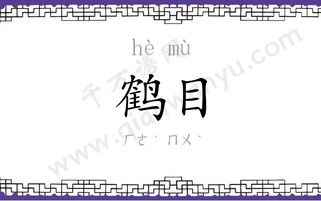 鹤目
