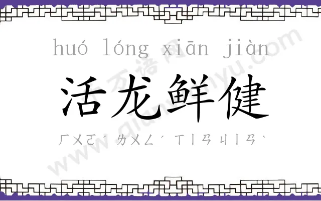 活龙鲜健